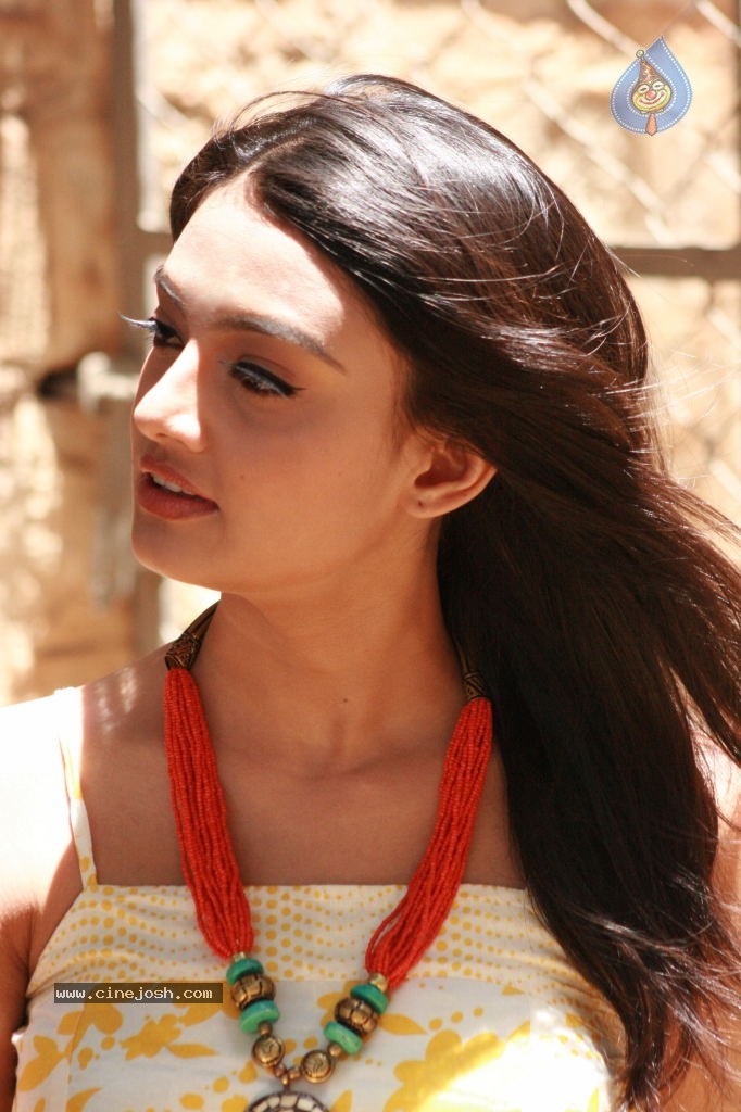 Nikitha Narayan Photoshoot Stills - 24 / 34 photos