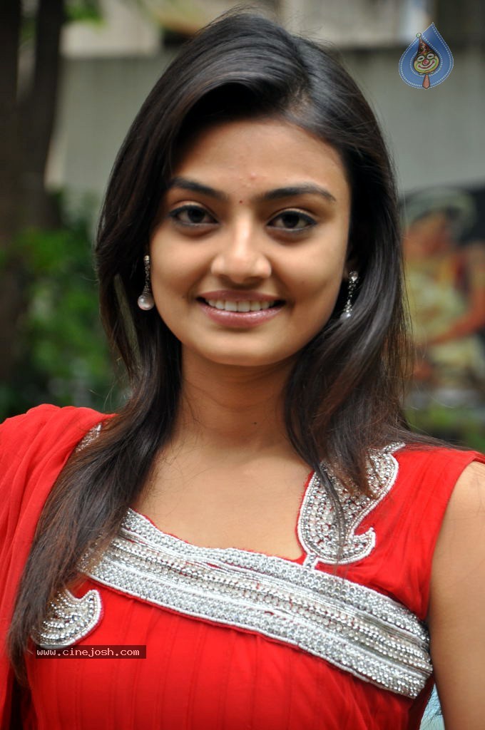 Nikitha Narayan Stills - 39 / 40 photos