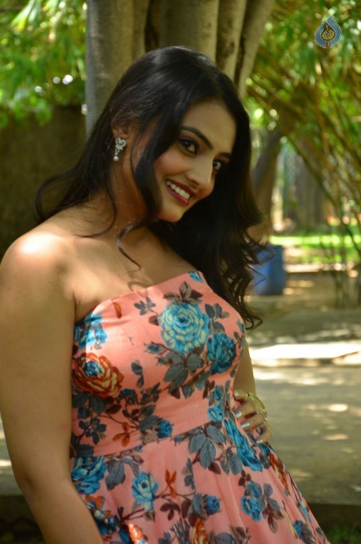Nikitha Narayana New Images - 27 / 29 photos