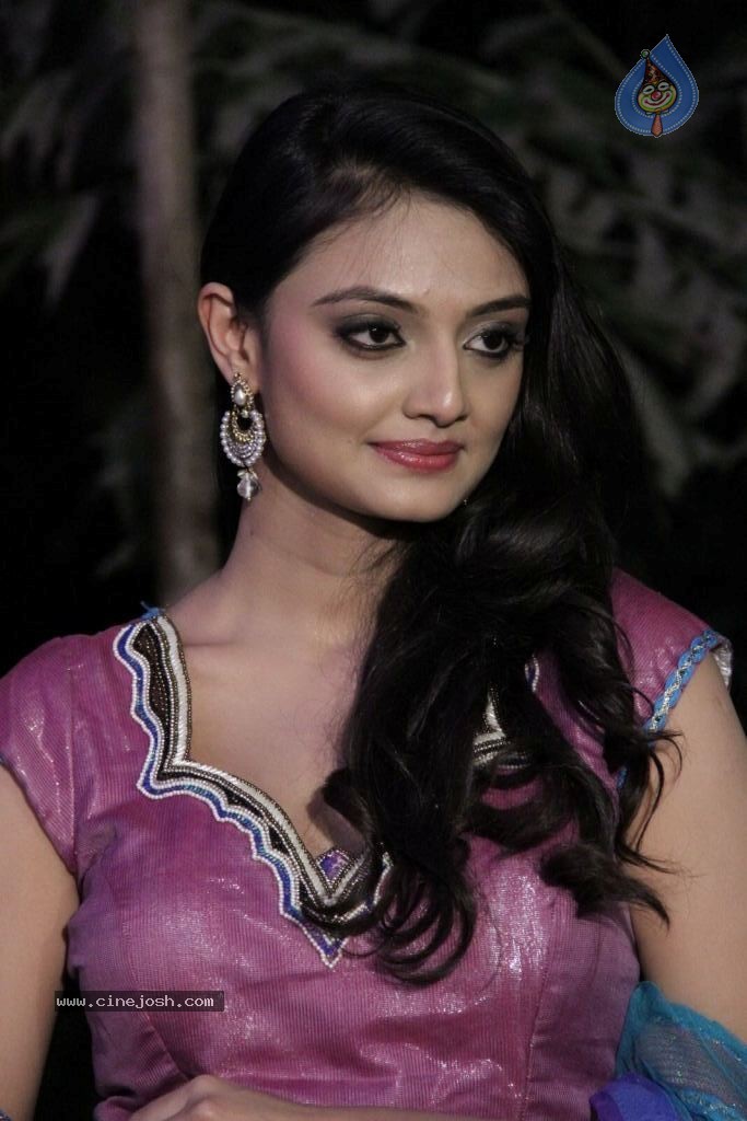 Nikitha Narayana New Photos - 8 / 100 photos