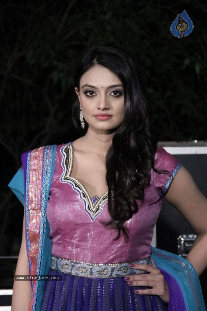 Nikitha Narayana New Photos - 58 / 100 photos