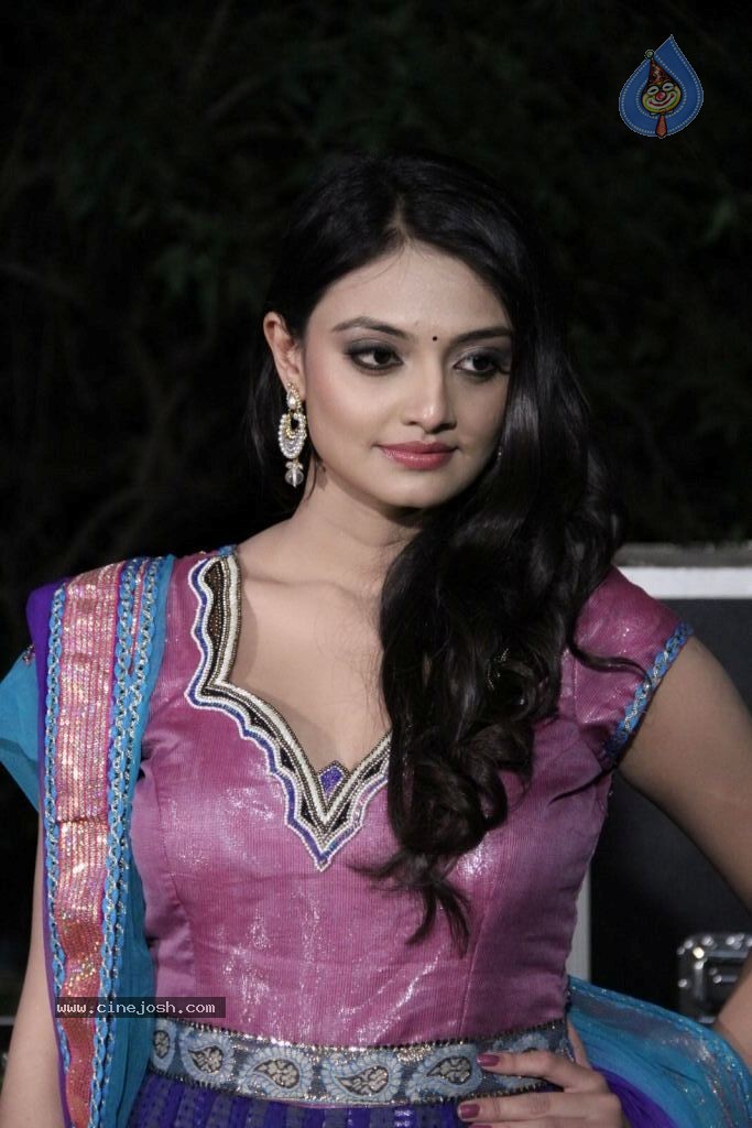 Nikitha Narayana New Photos - 94 / 100 photos