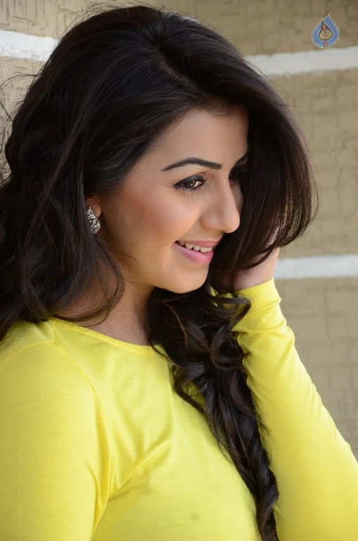 Nikki Galrani New Photos - 25 / 37 photos