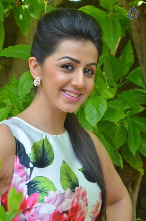 Nikki Galrani New Photos - 25 / 27 photos