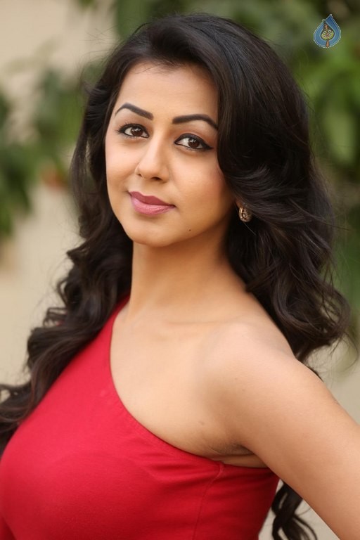 Nikki Galrani New Pics - 26 / 54 photos