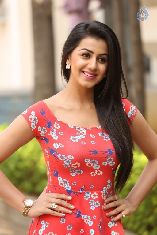 Nikki Galrani Photos - 16 / 28 photos