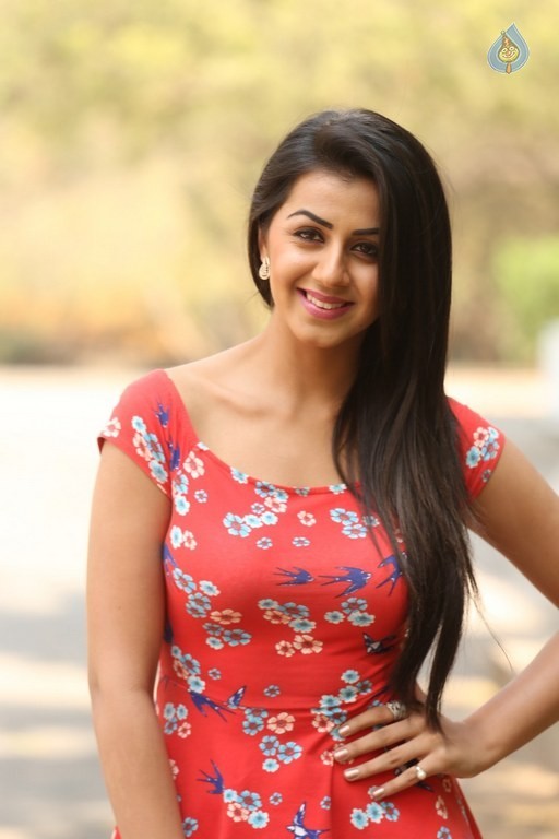 Nikki Galrani Photos - 28 / 28 photos