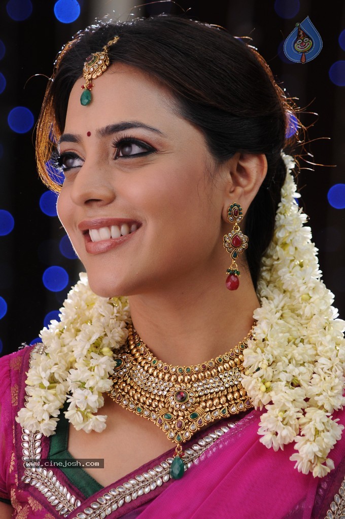 Nisha Agarwal New Photos - 38 / 151 photos