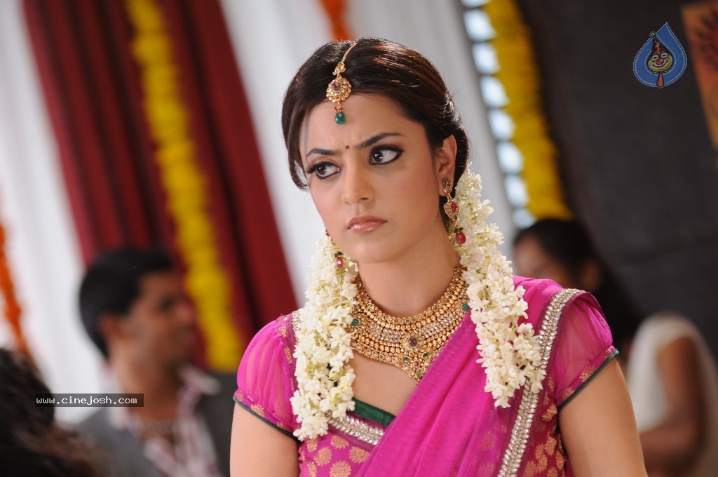 Nisha Agarwal New Photos - 71 / 151 photos