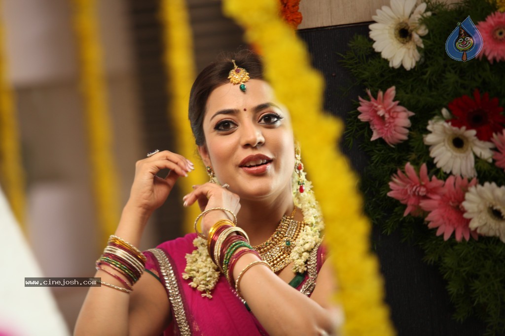 Nisha Agarwal New Photos - 95 / 151 photos
