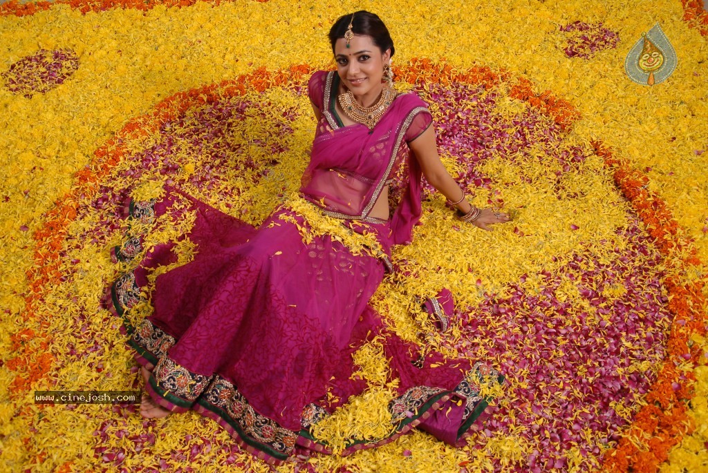 Nisha Agarwal New Photos - 116 / 151 photos