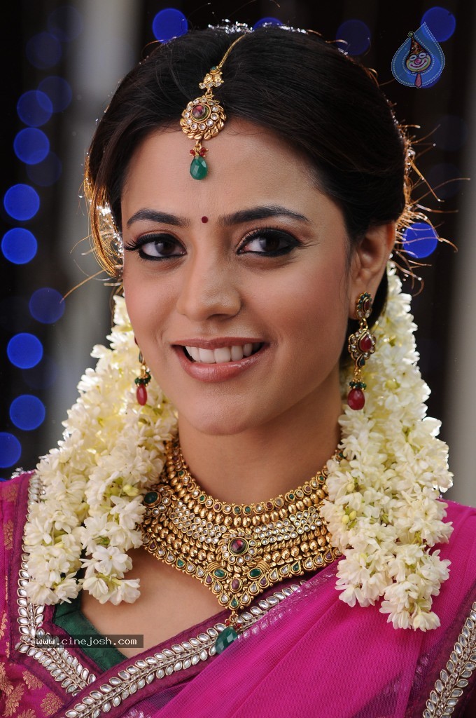 Nisha Agarwal New Photos - 127 / 151 photos