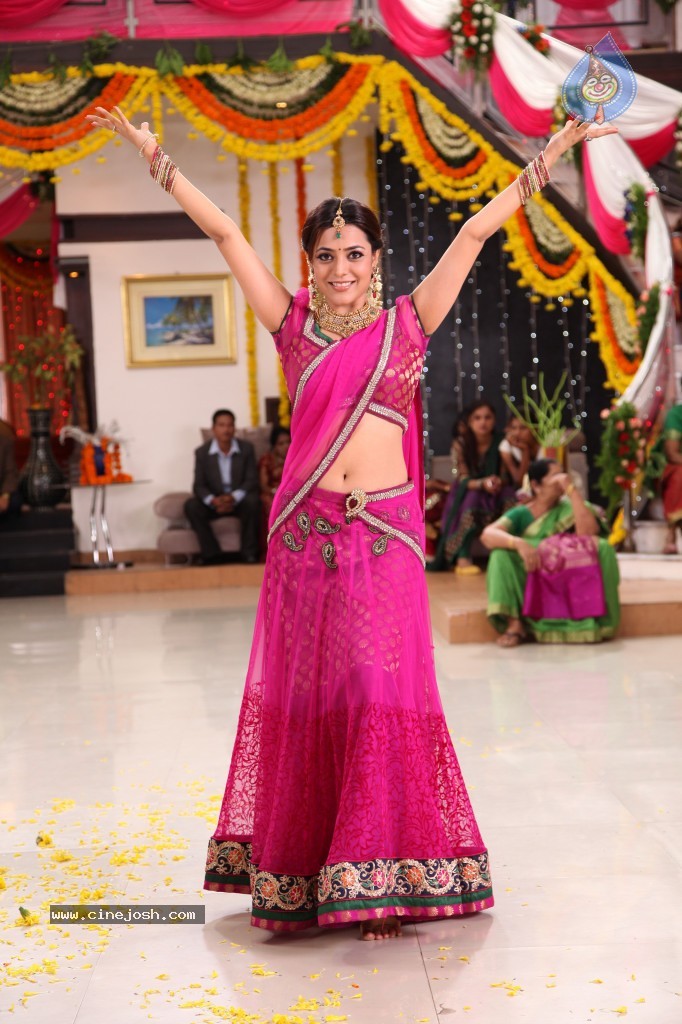 Nisha Agarwal New Photos - 140 / 151 photos