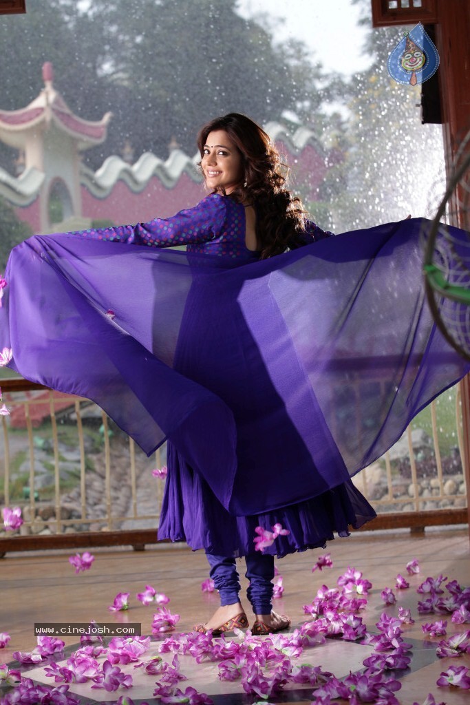 Nisha Agarwal New Pics - 31 / 49 photos