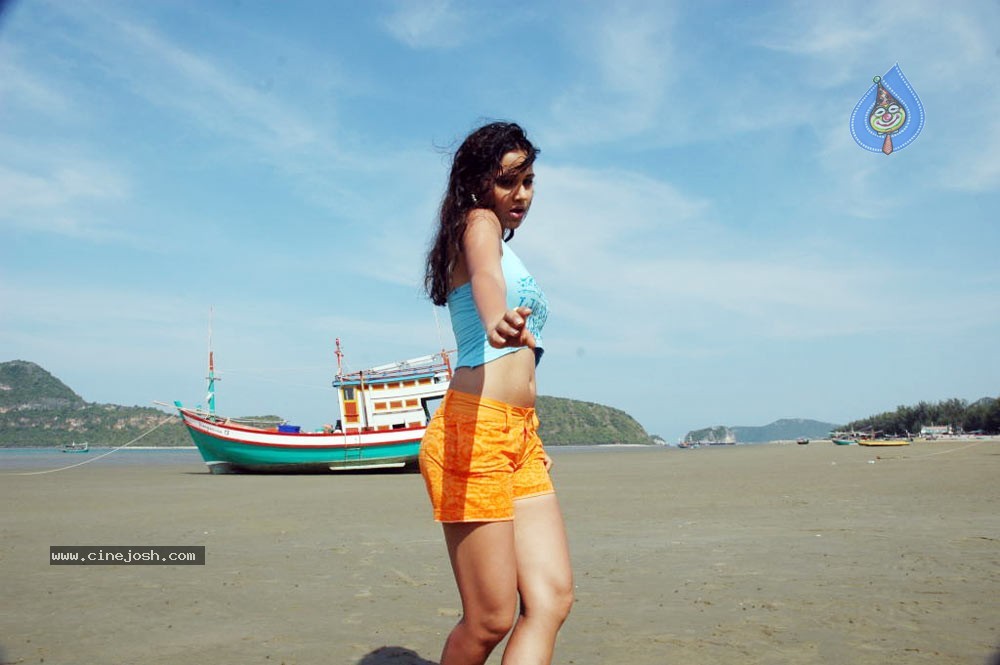 Nisha Kothari Spicy Gallery - 81 / 121 photos