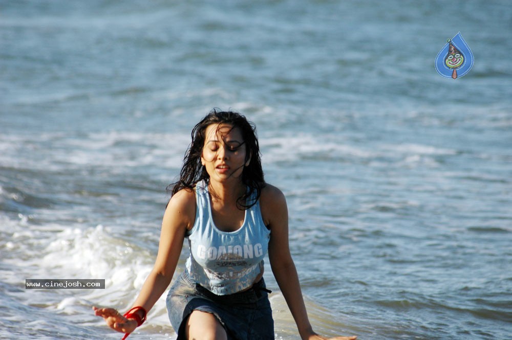 Nisha Kothari Spicy Gallery 2  - 17 / 62 photos