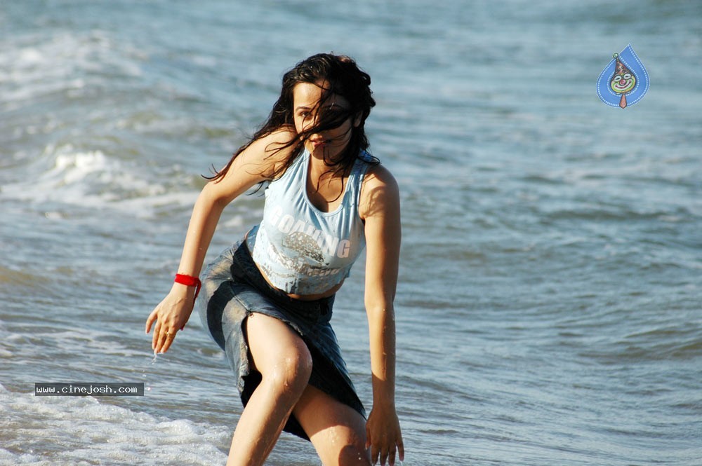 Nisha Kothari Spicy Gallery 2  - 36 / 62 photos