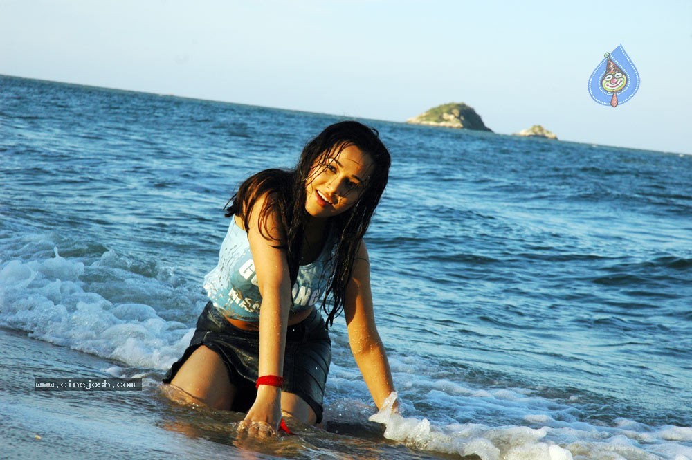 Nisha Kothari Spicy Gallery 2  - 37 / 62 photos