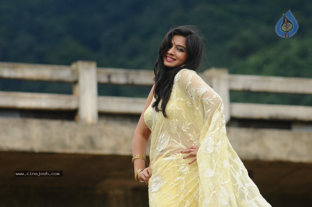 Nisha Sha Hot Gallery - 33 / 52 photos