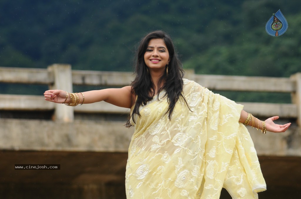 Nisha Sha Hot Gallery - 45 / 52 photos