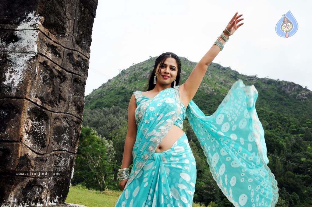 Nisha Shah Hot Gallery - 16 / 54 photos