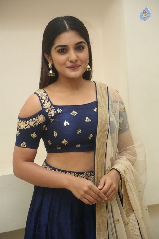 Niveda Thomas Gallery - 22 / 24 photos