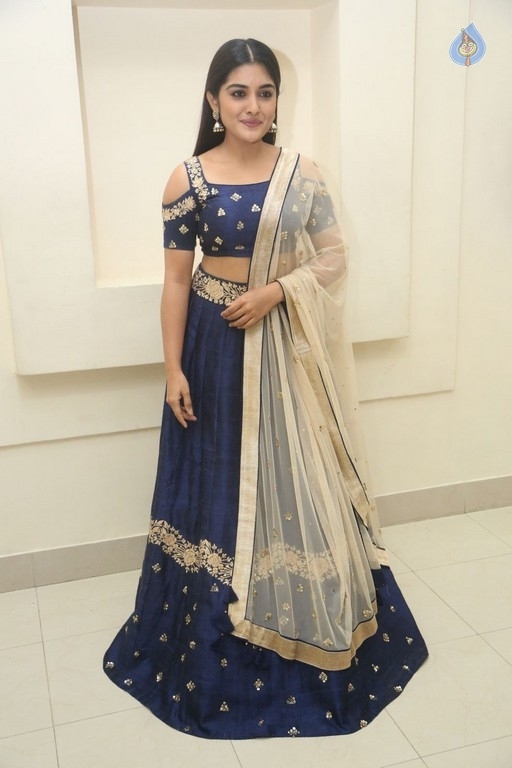 Niveda Thomas Gallery - 23 / 24 photos