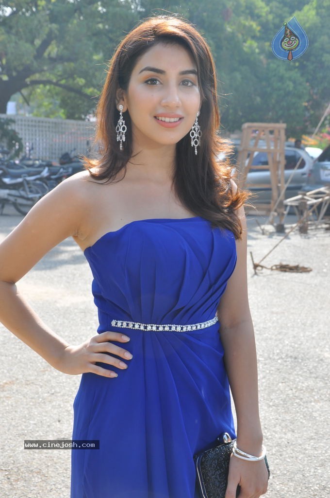 Parul Gulati Stills - 50 / 71 photos