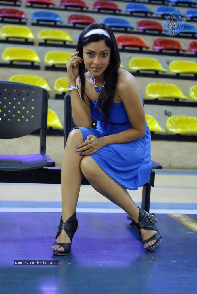 Payal Ghosh Hot Gallery - 29 / 60 photos