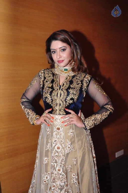 Payal Ghosh Latest Pics - 4 / 18 photos