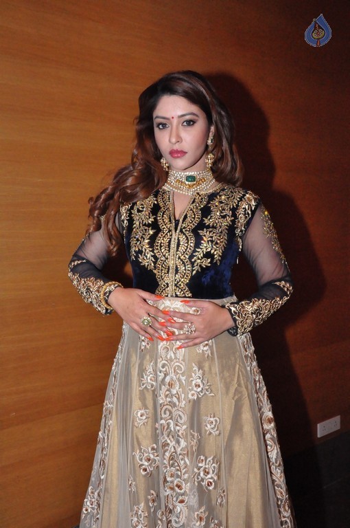 Payal Ghosh Latest Pics - 17 / 18 photos