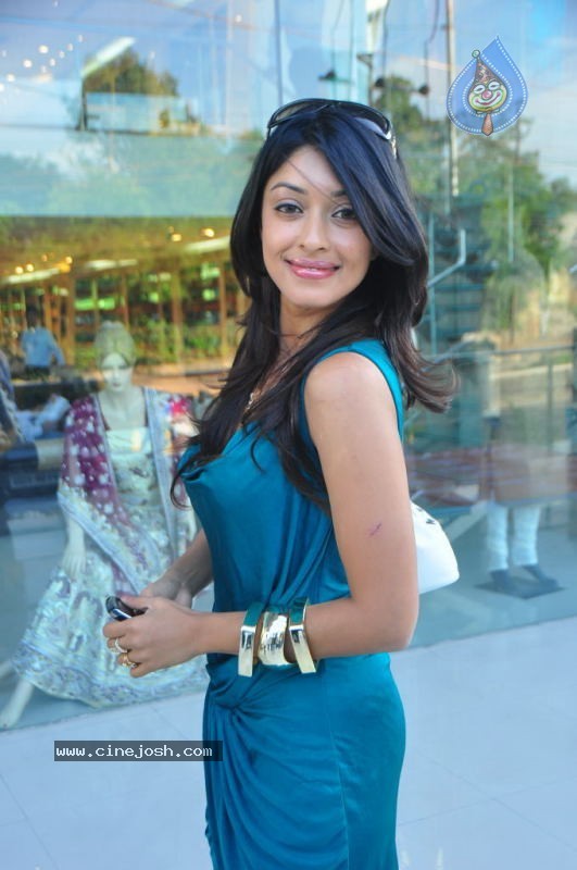 Payal Ghosh New Stills - 8 / 62 photos