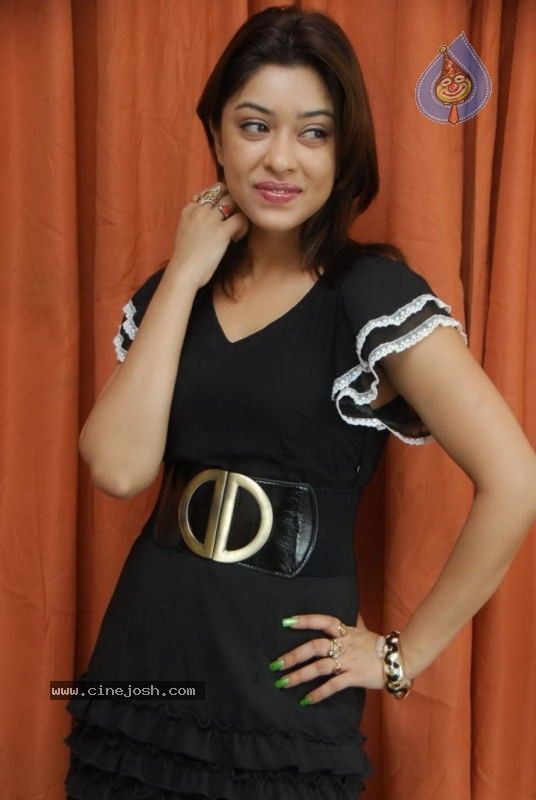 Payal Gosh Latest Stills - 72 / 90 photos