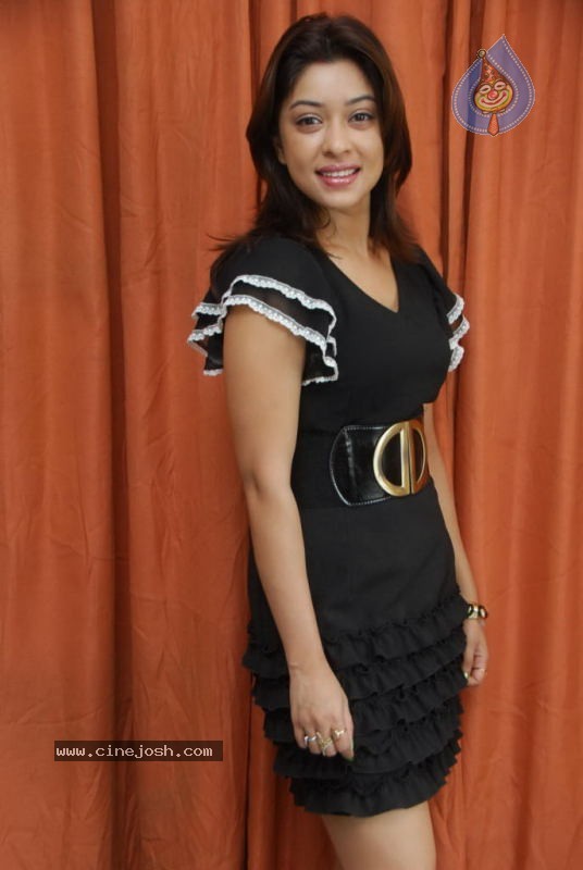 Payal Gosh Latest Stills - 76 / 90 photos