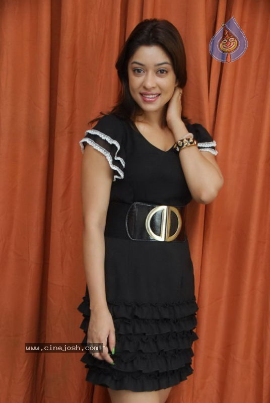 Payal Gosh Latest Stills - 88 / 90 photos