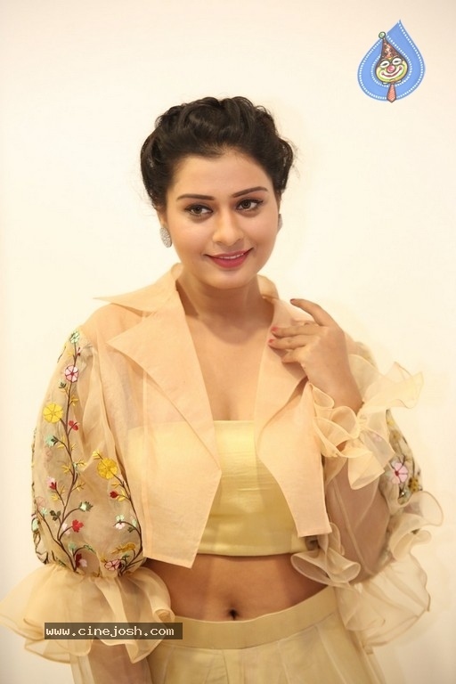 Payal Rajput Photos - 6 / 42 photos