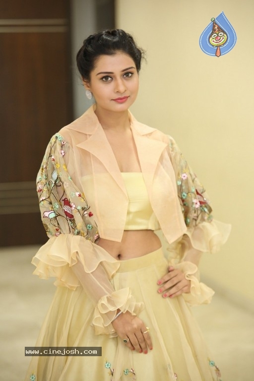 Payal Rajput Photos - 22 / 42 photos