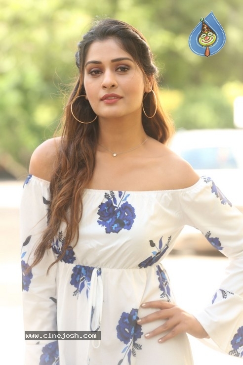 Payal Rajput Stills - 11 / 32 photos