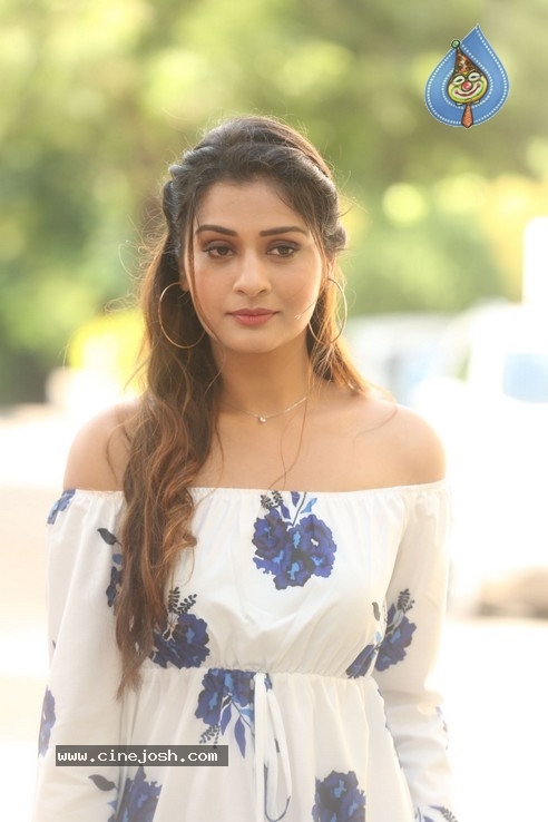 Payal Rajput Stills - 12 / 32 photos