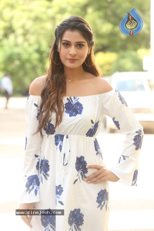 Payal Rajput Stills - 13 / 32 photos