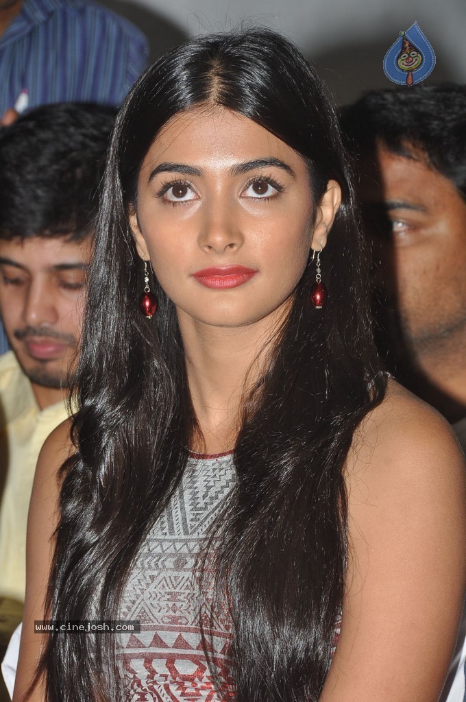 Pooja Hegde at OLK Success Meet - 93 / 98 photos