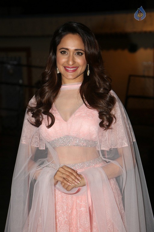 Pragya Jaiswal Latest Pics - 25 / 42 photos