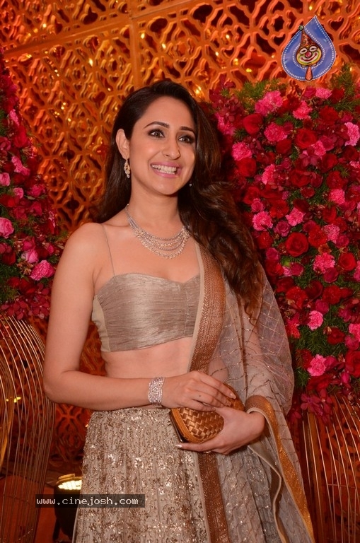Pragya Jaiswal Latest Pictures - 14 / 15 photos