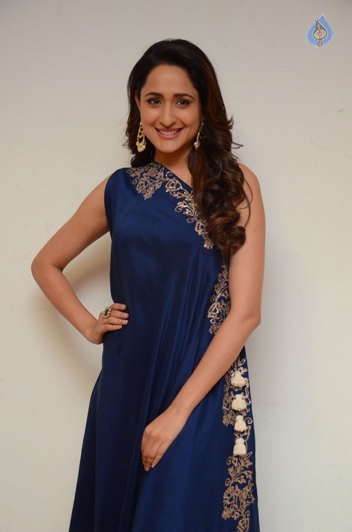 Pragya Jaiswal New Photos - 12 / 41 photos