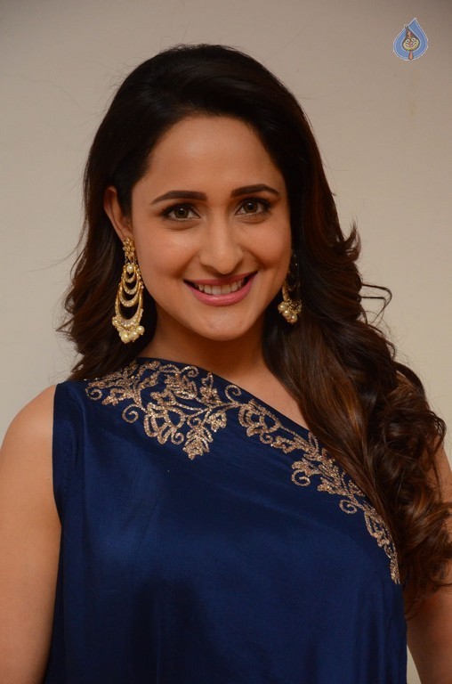 Pragya Jaiswal New Photos - 28 / 41 photos