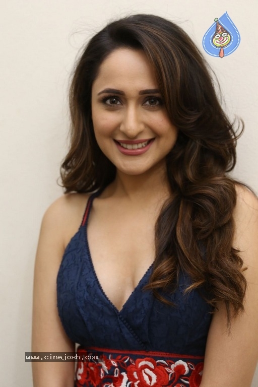 Pragya Jaiswal New Pics - 12 / 27 photos