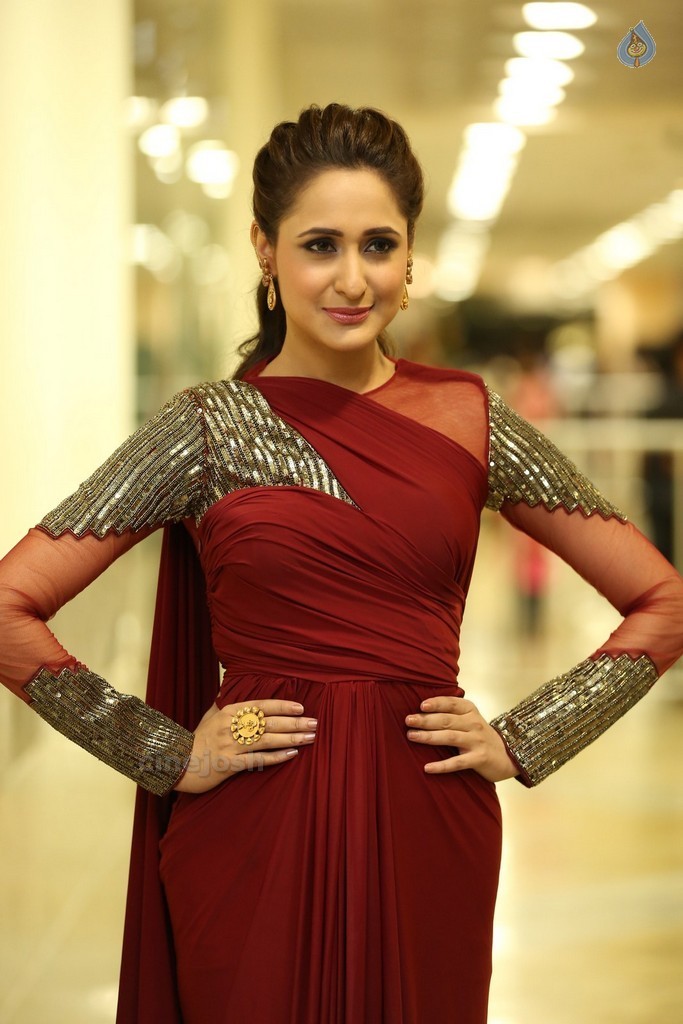 Pragya Jaiswal New Stills - 8 / 20 photos