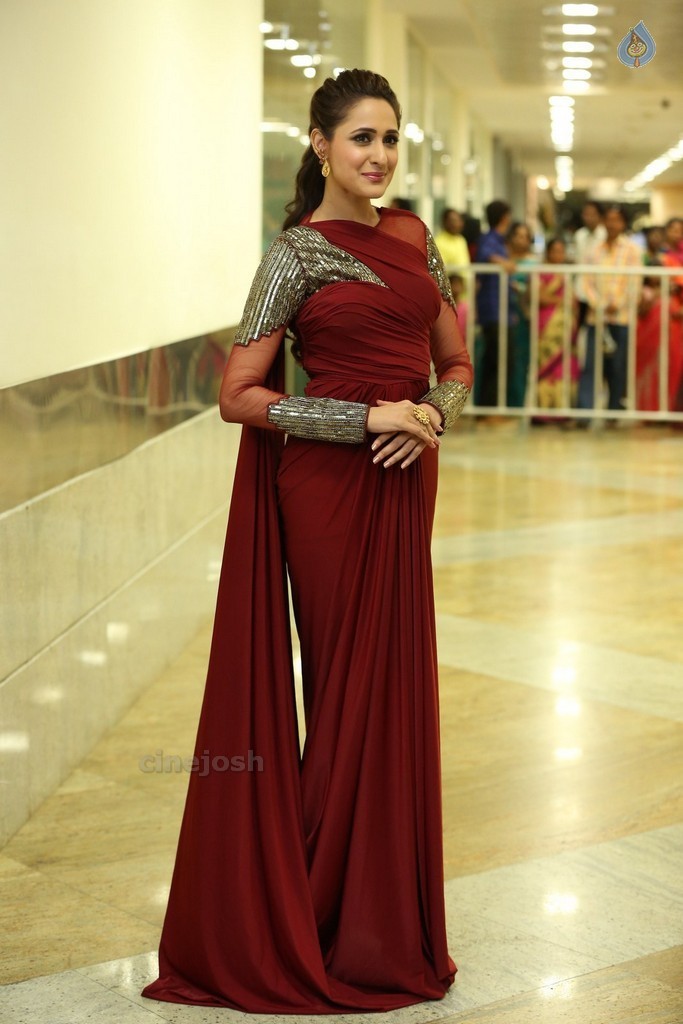 Pragya Jaiswal New Stills - 12 / 20 photos