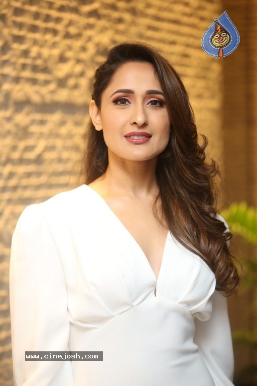 Pragya Jaiswal Photos - 6 / 21 photos