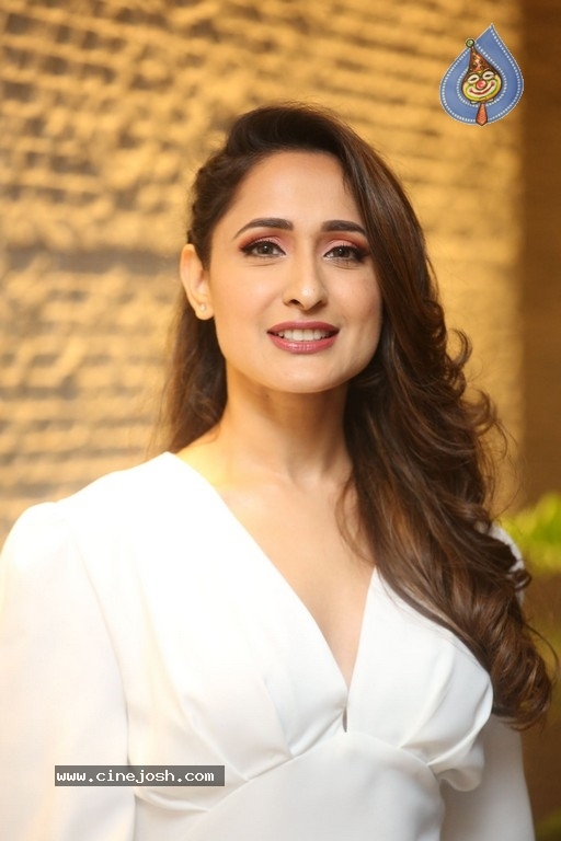 Pragya Jaiswal Photos - 11 / 21 photos